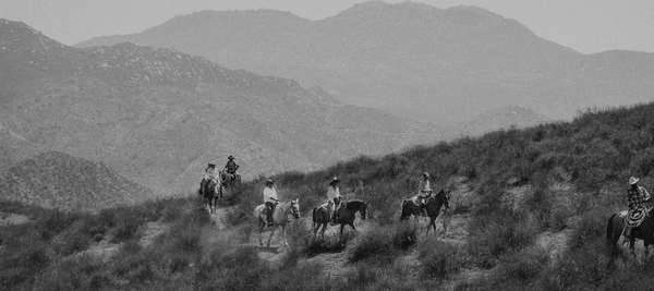 VALLE DE GUADALUPE FIELD GUIDE