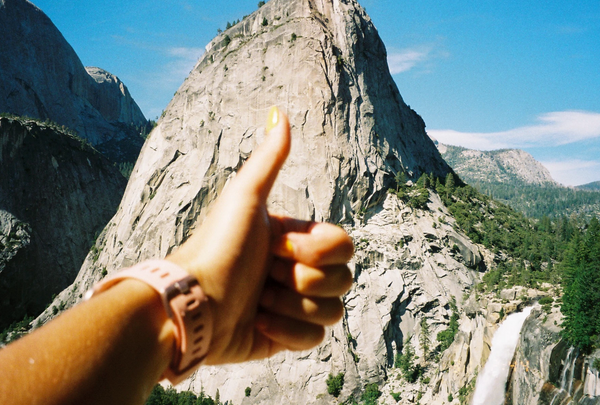 YOSEMITE FIELD GUIDE