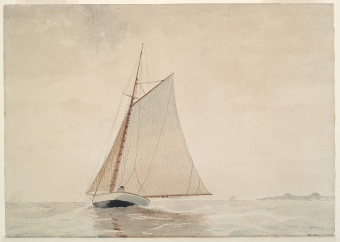 Cabrillo’s Catalina Cruise